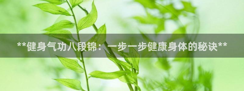 龙8国际龙8官方