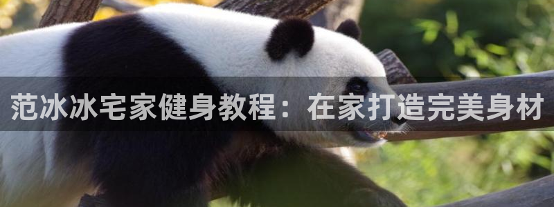 龙8国际app客户端下载