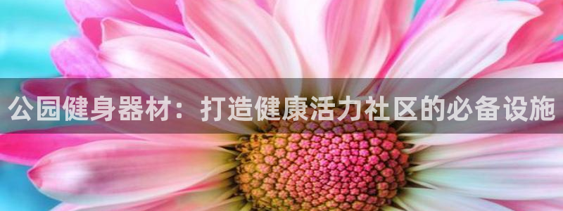 龙8国际pt官网