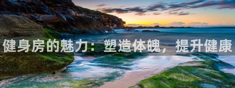 龙8国际手机版注册