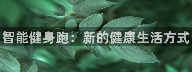 龙8老虎机游戏网站多少