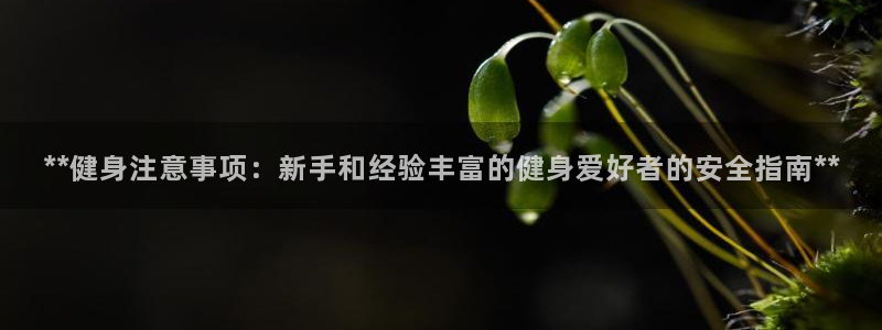 龙8国际是什么平台