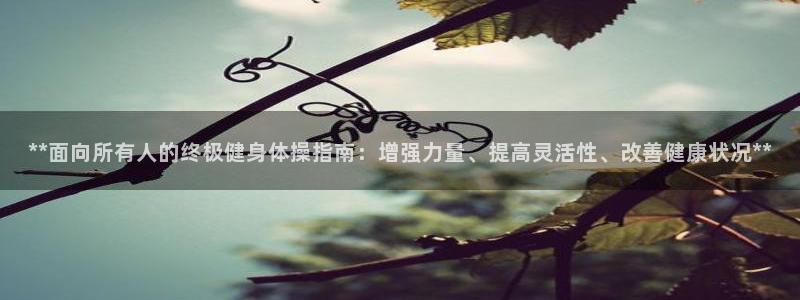 龙 八国际