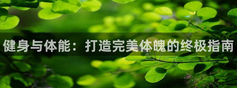 龙8国际pt网址