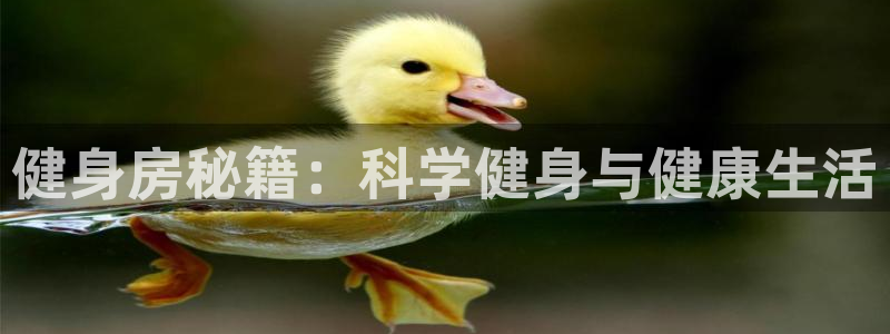 龙8国际的漏洞