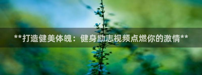 龙8国际官网点此进入游戏