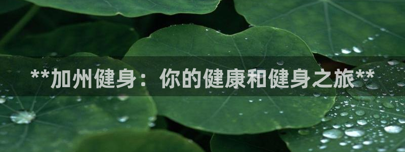 龙8国际唯一官网手游登录入口