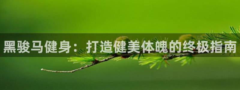 龙八国际官方网