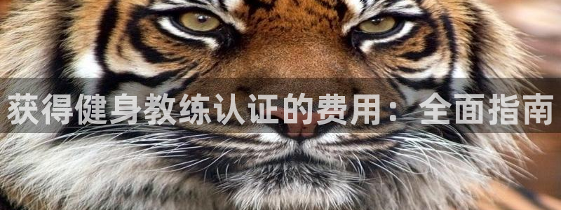 龙8国际网址