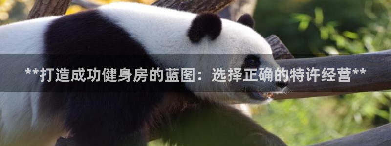 龙8国际app下载客户端