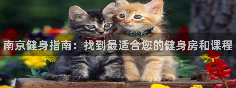 龙8国际long123