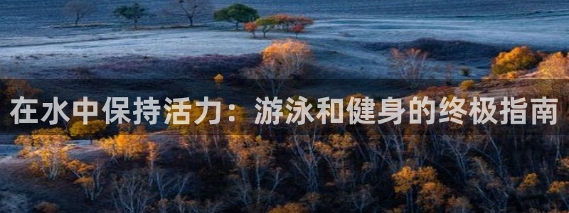 龙8国际pt官网