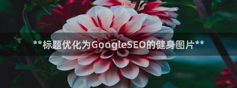 龙8国际官网 点此进入