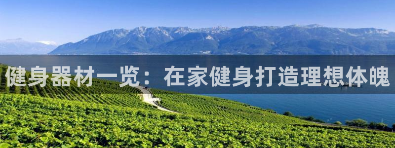 龙八国际官网下载