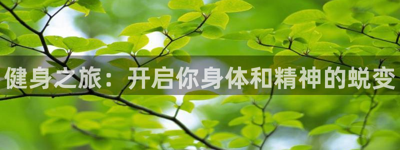 龙8国际pt官方网址