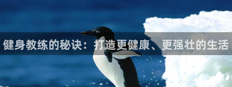 龙8国际官网版最新版下载