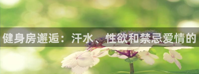 龙8国际正规吗