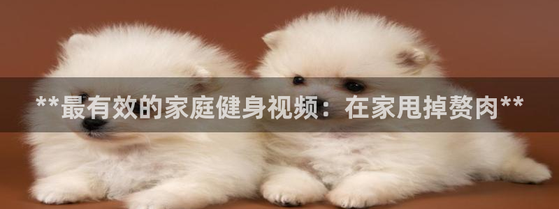 龙8国际手机版下载