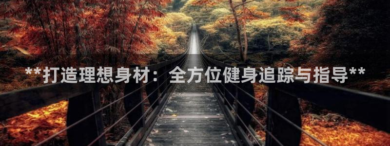 龙8游戏平台官方