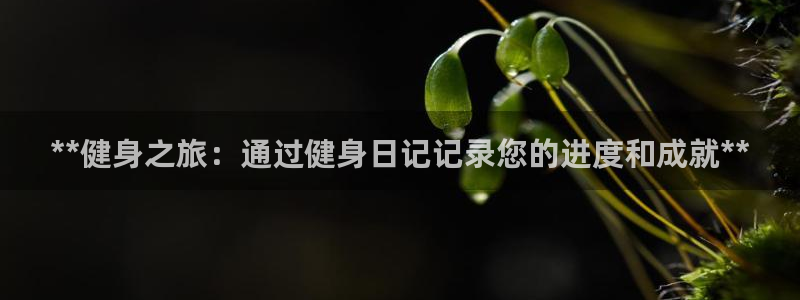 下载龙八国际官网