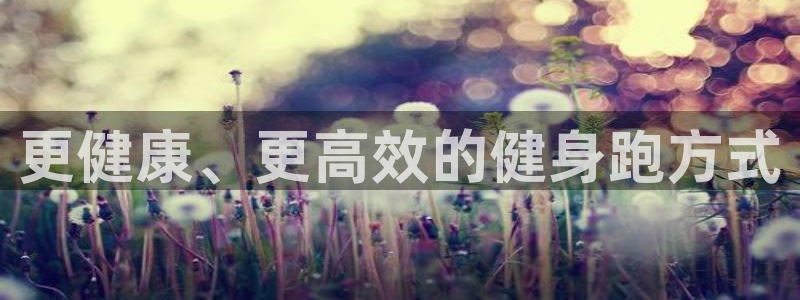 龙八国际网页
