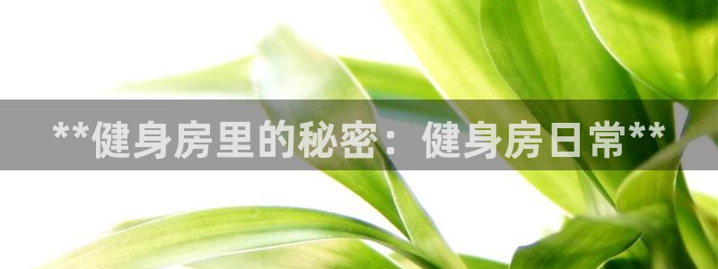龙8国际登入