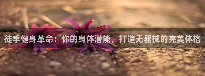 龙8国际官网手机登录