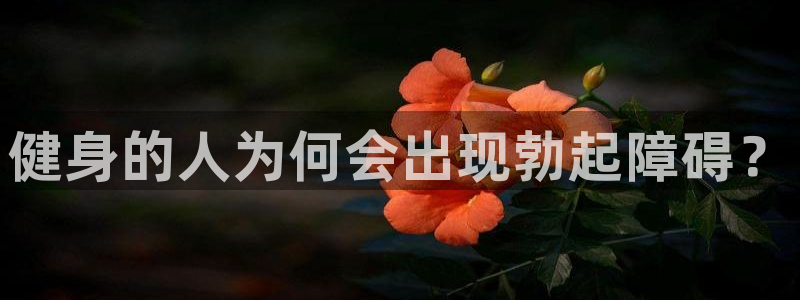 龙八国际登录入口