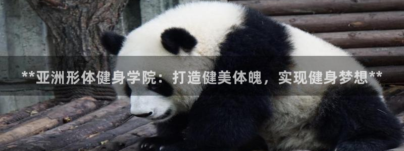 龙8国际的漏洞