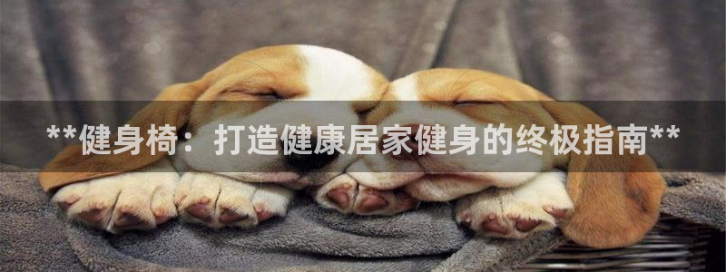 龙8国际怎么进不去了