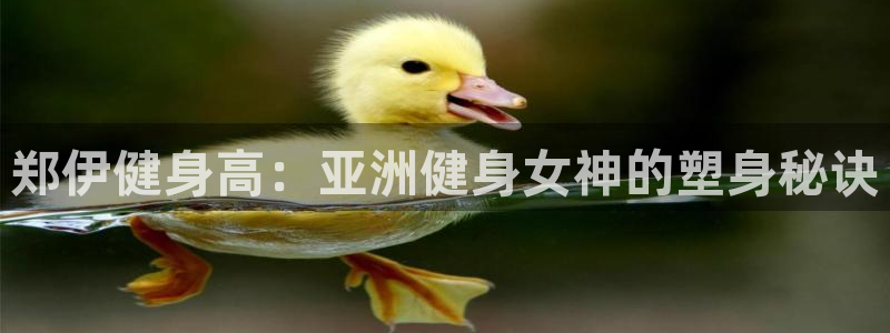 龙8游戏客户端