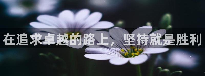 龙8国际官网 - 点此进入