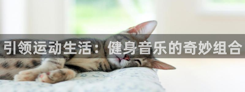 龙8国际3.0