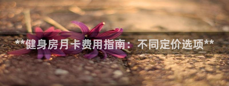 龙8国际头号玩家
