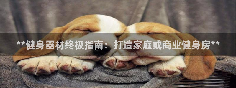 龙八国际官网下载