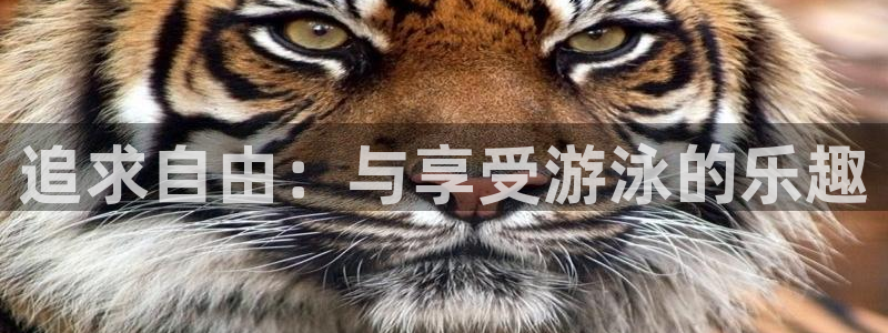 龙八国际娱乐平台网站
