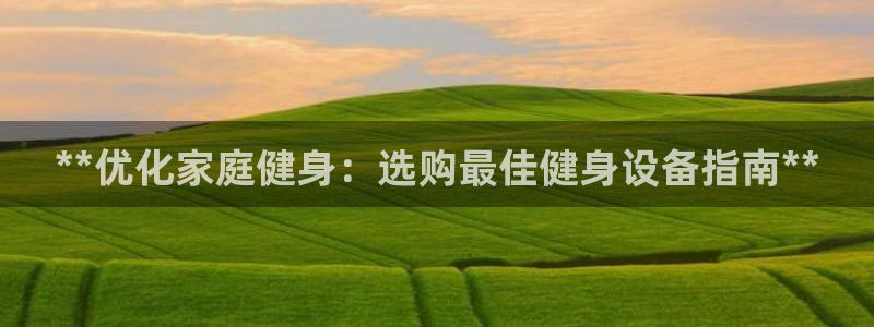 龙8国际pt