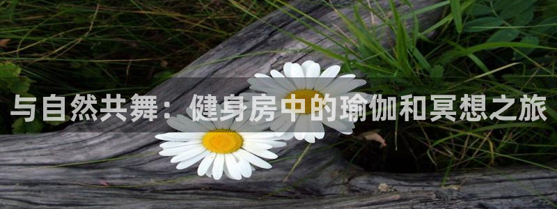 龙8国际唯一官网登录口