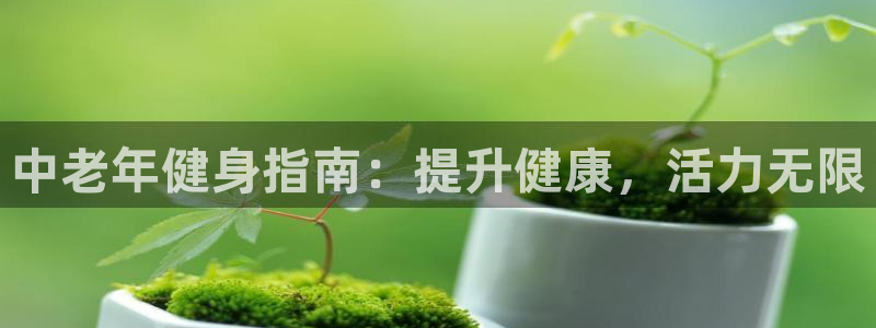 龙8国际服