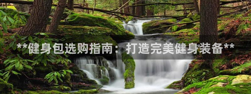 龙八国际官方网站app登录