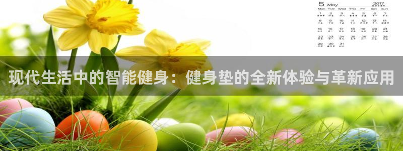 龙 八国际