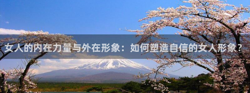 龙八国际城