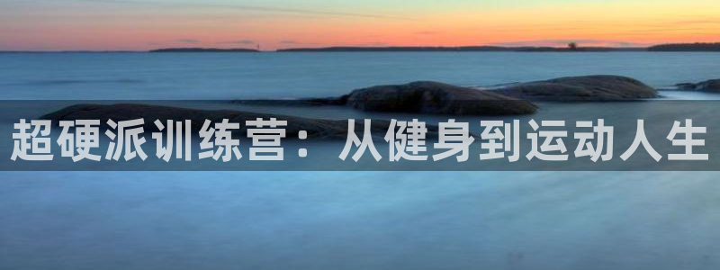 龙八国际服官网站
