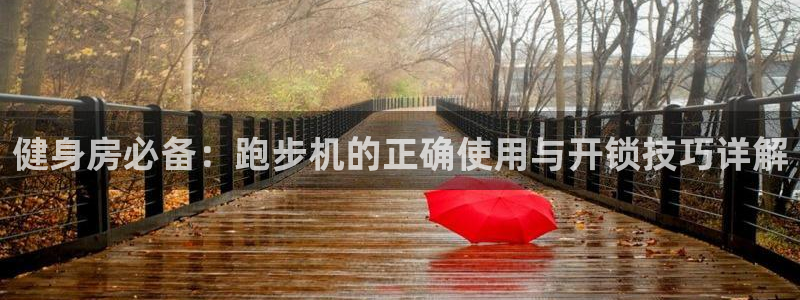 龙8国际真钱
