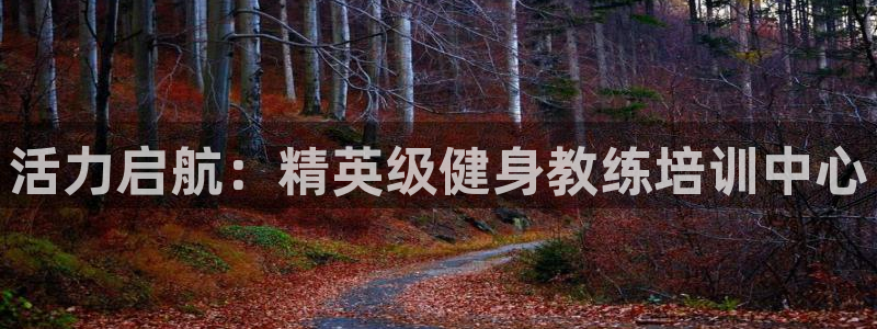 龙8国际登陆