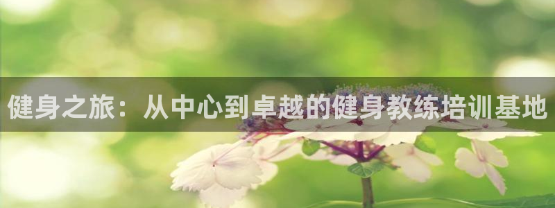龙八国际官方网