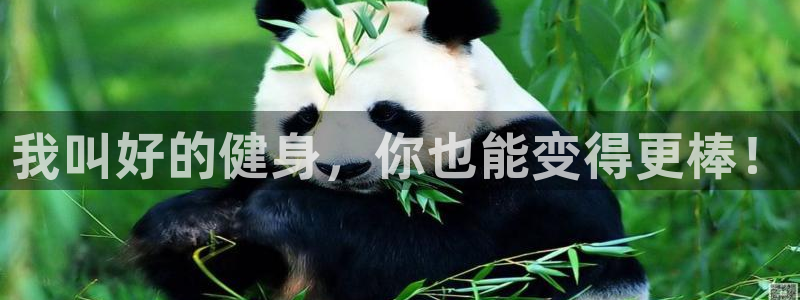 龙8国际官方网