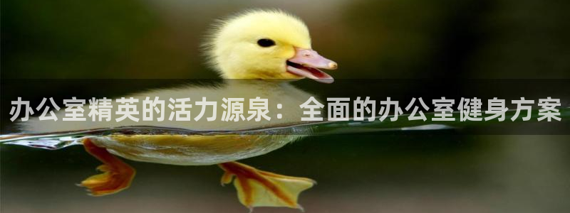 龙八国际娱乐老板是谁