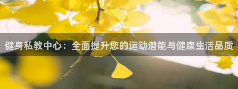 龙8国际服