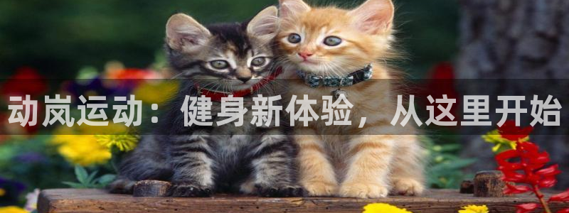 龙8国际官方网址下载